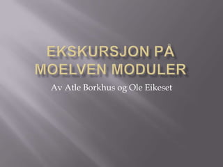 Ekskursjon på Moelven Moduler Av Atle Borkhus og Ole Eikeset 