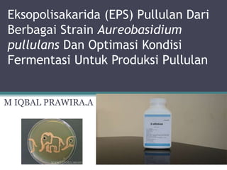 Eksopolisakarida (EPS) Pullulan Dari
Berbagai Strain Aureobasidium
pullulans Dan Optimasi Kondisi
Fermentasi Untuk Produksi Pullulan
M IQBAL PRAWIRA.A
 