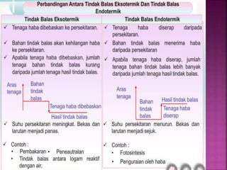 Eksotermik & endotermik