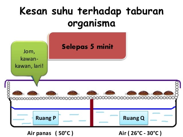 Tingkatan 2 Bab 2 Faktor yang mempengaruhi taburan ...