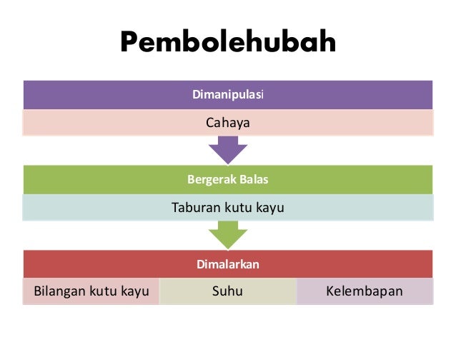 Tingkatan 2 Bab 2 Faktor Yang Mempengaruhi Taburan Organisma Eksp Ku