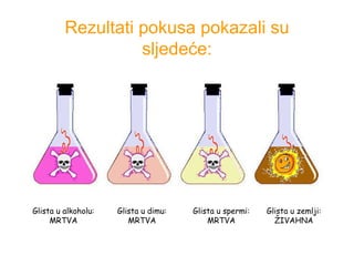 Rezultati pokusa pokazali su sljedeće : Glista u alkoholu: MRTVA Glista u dimu: MRTVA Glista u spermi: MRTVA Glista u zemlji: ŽIVAHNA 