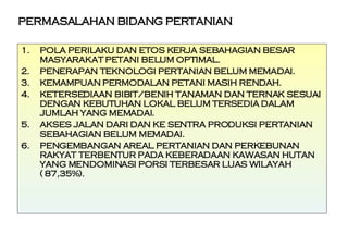 PERMASALAHAN BIDANG PERTANIAN POLA PERILAKU DAN ETOS KERJA SEBAHAGIAN BESAR MASYARAKAT PETANI BELUM OPTIMAL. PENERAPAN TEKNOLOGI PERTANIAN BELUM MEMADAI. KEMAMPUAN PERMODALAN PETANI MASIH RENDAH. KETERSEDIAAN BIBIT/BENIH TANAMAN DAN TERNAK SESUAI DENGAN KEBUTUHAN LOKAL BELUM TERSEDIA DALAM JUMLAH YANG MEMADAI.  AKSES JALAN DARI DAN KE SENTRA PRODUKSI PERTANIAN SEBAHAGIAN BELUM MEMADAI. PENGEMBANGAN AREAL PERTANIAN DAN PERKEBUNAN RAKYAT TERBENTUR PADA KEBERADAAN KAWASAN HUTAN YANG MENDOMINASI PORSI TERBESAR LUAS WILAYAH  ( 87,35%).  