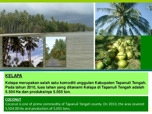 Potensi dan Peluang Investasi Kabupaten Tapanuli Tengah