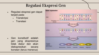 Regulasi Ekspresi Gen
● Gen konstitutif adalah
gen yang ekspresinya
tidak diatur dan akan
diekspresikan secara
konstan (te...