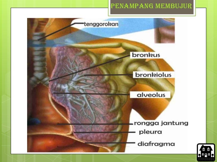 lazy