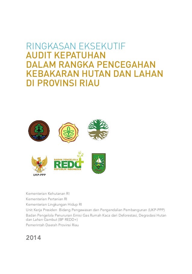 RINGKASAN EKSEKUTIF AUDIT KEPATUHAN DALAM RANGKA 