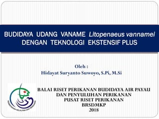 BUDIDAYA UDANG VANAME Litopenaeus vannamei
DENGAN TEKNOLOGI EKSTENSIF PLUS
BALAI RISET PERIKANAN BUDIDAYA AIR PAYAU
DAN PENYULUHAN PERIKANAN
PUSAT RISET PERIKANAN
BRSDMKP
2018
Oleh :
Hidayat Suryanto Suwoyo, S.Pi, M.Si
 