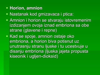 Horion, amnion Nastanak kod gmizavaca i ptica: Amnion i horion se stvaraju istovremenim izdizanjem ovoja iznad embriona sa obe strane (glavene i repne) Kad se spoje, amnion ostaje oko embriona, a horion biva potisnut uz unutrasnju stranu ljuske i tu ucestvuje u disanju embriona (ljuska jajeta propusta kiseonik i ugljen-dioksid) 