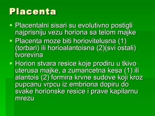 Placenta  Placentalni sisari su evolutivno postigli najprisniju vezu horiona sa telom majke Placenta moze biti horiovitelusna (1)(torbari) ili horioalantoisna (2)(svi ostali) tvorevina Horion stvara resice koje prodiru u tkivo uterusa majke, a zumancetna kesa (1) ili alantois (2) formira krvne sudove koji kroz pupcanu vrpcu iz embriona dopiru do svake horionske resice i prave kapilarnu mrezu 