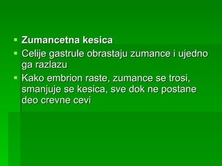 Zumancetna kesica Celije gastrule obrastaju zumance i ujedno ga razlazu Kako embrion raste, zumance se trosi, smanjuje se kesica, sve dok ne postane deo crevne cevi 
