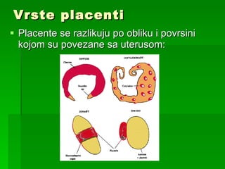 Vrste placenti Placente se razlikuju po obliku i povrsini kojom su povezane sa uterusom: 