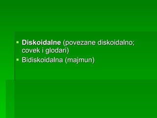 Diskoidalne  (povezane diskoidalno; covek i glodari) Bidiskoidalna (majmun) 
