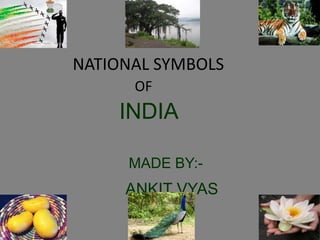 NATIONAL SYMBOLS
OF
INDIA
MADE BY:-
ANKIT VYAS
 