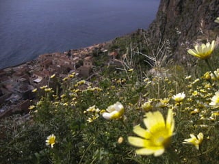 Έκθεση φωτογραφίας 2011-12