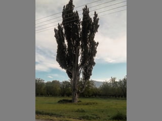 Έκθεση φωτογραφίας 2011-12