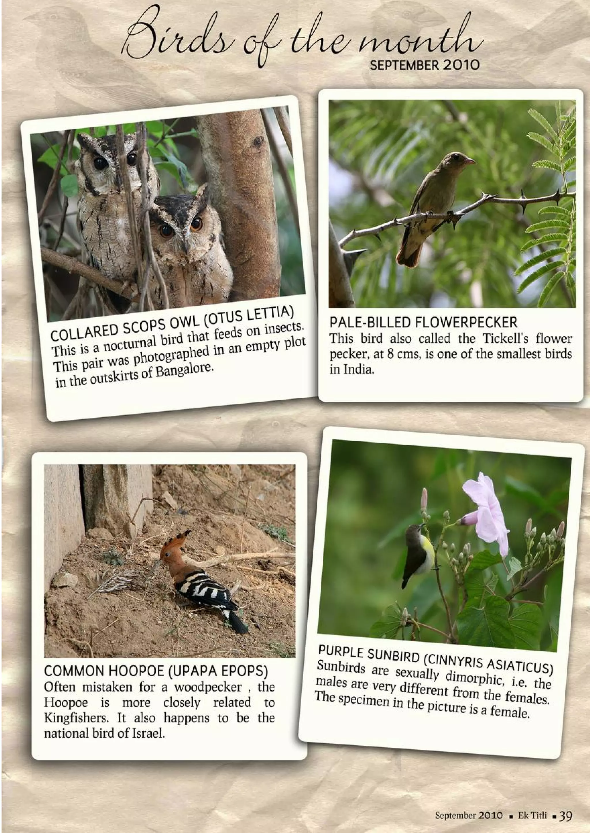 Ek titli magazine - September 2010