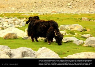 Ek titli magazine - September 2010