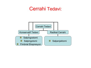 Cerrahi  Tedavi: Cerrahi Tedavi Konservatif Tedavi Radikal Cerrahi Salpenjektomi Salpingostomi Salpingotomi Fimbrial Ekspresyon 
