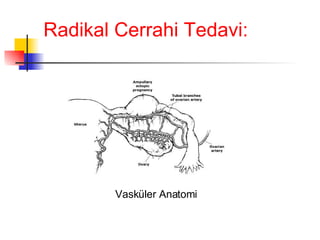 Radikal Cerrahi Tedavi: Vasküler Anatomi 
