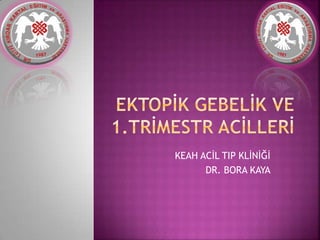 KEAH ACİL TIP KLİNİĞİ
DR. BORA KAYA
 