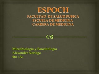 Microbiología y Parasitología 
Alexander Noriega 
4to «A» 
 