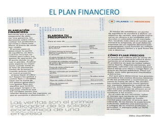 EL PLAN FINANCIERO
©Mtro. Ulisse ANTONIOLI
 