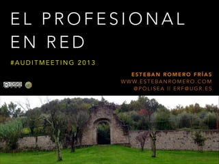 EL PROFESIONAL
EN RED
#AUDITMEETING 2013
ESTEBAN ROMERO FRÍAS
W W W. E S T E B A N R O M E R O . C O M
@POLISEA || ERF@UGR.ES

 