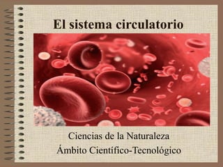 El sistema circulatorio

Ciencias de la Naturaleza
Ámbito Científico-Tecnológico

 