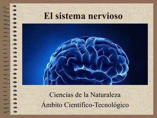 El sistema nervioso

Ciencias de la Naturaleza
Ámbito Científico-Tecnológico

 
