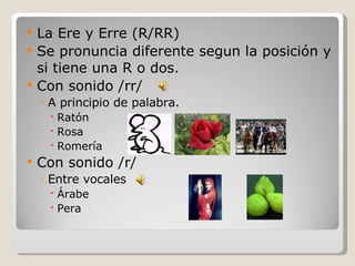 La Ere y Erre (R/RR) Se pronuncia diferente segun la posición y si tiene una R o dos. Con sonido /rr/ A principio de palabra. Ratón Rosa Romería  Con sonido /r/  Entre vocales  Árabe Pera 