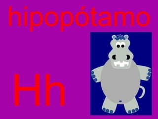 Hh hipopótamo 