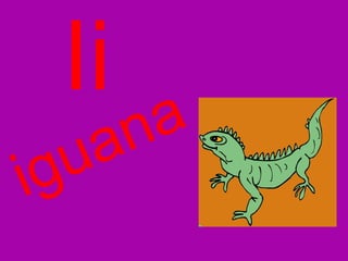 Ii iguana 