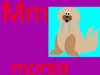 Mm morsa 