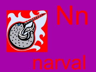 Nn narval 