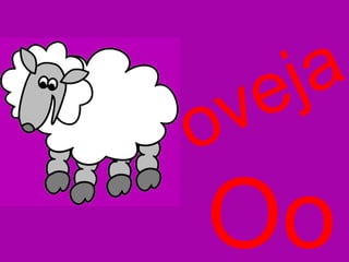 Oo oveja 