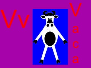 Vv V a c a 