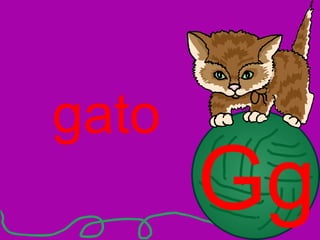 Gg gato 