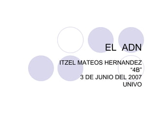 EL  ADN ITZEL MATEOS HERNANDEZ “ 4B” 3 DE JUNIO DEL 2007 UNIVO 
