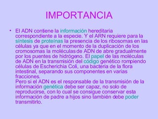 IMPORTANCIA El ADN contiene la  información  hereditaria correspondiente a la especie. Y el ARN requiere para la  síntesis  de  proteínas  la presencia de los ribosomas en las células ya que en el momento de la duplicación de los cromosomas la moléculas de ADN de abre gradualmente por los puentes de hidrógeno. El  papel  de las moléculas de ADN en la transmisión del  código  genético rompiendo células de Escherichia Coli, una bacteria de la flora intestinal, separando sus componentes en varias fracciones. Pero si el ADN es el responsable de la transmisión de la información  genética  debe ser capaz, no solo de reproducirse, con lo cual se consigue conservar esta información de padre a hijos sino también debe  poder  transmitirlo.  