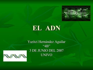 EL  ADN Yuritzi Hernández Aguilar “ 4B” 3 DE JUNIO DEL 2007 UNIVO 