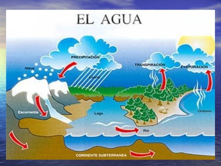 El agua11939199473853934