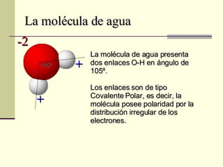 La molécula de agua La molécula de agua presenta dos enlaces O-H en ángulo de 105º. Los enlaces son de tipo Covalente Polar, es decir, la molécula posee polaridad por la distribución irregular de los electrones. 105º + + -2 