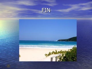 FIN 