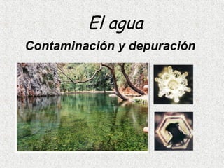 El agua Contaminación y depuración 