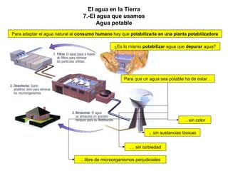 El agua en la Tierra 7.-El agua que usamos Agua potable Para adaptar el agua natural al  consumo humano  hay que  potabilizarla en una planta potabilizadora Para que un agua sea potable ha de estar… … sin sustancias tóxicas …  sin turbiedad … libre de microorganismos perjudiciales … sin color ¿Es lo mismo  potabilizar  agua que  depurar  agua? 