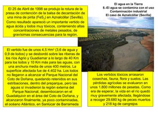 El agua en la Tierra 8.-El agua se contamina con el uso Contaminación industrial El caso de Aznalcóllar (Sevilla) El 25 de Abril de 1998 se produjo la rotura de la presa de contención de la balsa de decantación de una mina de pirita (FeS 2 ) en Aznalcóllar (Sevilla). Como resultado apareció un importante vertido de agua ácida y lodos muy tóxicos, conteniendo altas concentraciones de metales pesados, de gravísimas consecuencias para la región. El vertido fue de unos 4,5 Hm 3  (3,6 de agua y 0,9 de lodos) y se desbordó sobre las riberas de los ríos Agrio y Guadiamar a lo largo de 40 Km para los lodos y 10 Km más para las aguas, con una anchura media de unos 400 metros. La superficie afectada fue de 4.402 ha. Los lodos no llegaron a alcanzar el Parque Nacional del Coto de Doñana, quedando retenidos en sus estribaciones, dentro del preparque, pero las aguas sí invadieron la región externa del Parque Nacional, desembocaron en el Guadalquivir en el área del Coto de Doñana, y alcanzaron finalmente, ya poco contaminadas, el océano Atlántico, en Sanlúcar de Barrameda  Los vertidos tóxicos arrasaron cosechas, fauna, flora y suelos. Las pérdidas agrícolas se evaluaron en unos 1.800 millones de pesetas. Como era de esperar, la vida en el río quedó muy gravemente afectada, llegándose a recoger 29.680 kg de peces muertos y 218 kg de cangrejos 