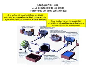 El agua en la Tierra 9.-La depuración de las aguas Tratamiento del agua contaminada Si el vertido de contaminantes a las aguas naturales  no es muy frecuente ni excesivo , esta agua tienen cierta capacidad de  autodepuración Pero muchos cursos de agua están sometidos a tal  presión contaminante  que no son capaces de autolimpiarse 