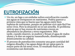 EUTROFIZACIÓNUn río, un lago o un embalse sufren eutrofización cuando sus aguas se enriquecen en nutrientes. Podría parecer a primera vista que es bueno que las aguas estén bien repletas de nutrientes, porque así podrían vivir más fácil los seres vivos. Pero la situación no es tan sencilla. El problema está en que si hay exceso de nutrientes crecen en abundancia las plantas y otros organismos. Más tarde, cuando mueren, se pudren y llenan el agua de malos olores y le dan un aspecto nauseabundo, disminuyendo drásticamente su calidad.El proceso de putrefacción consume una gran cantidad del oxígeno disuelto y las aguas dejan de ser aptas para la mayor parte de los seres vivos. El resultado final es un ecosistema casi destruido.
