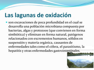 Laslagunas de oxidación<br />son excavaciones de poca profundidad en el cual se desarrolla una población microbiana compue...